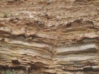 image of texture