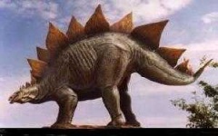 image of stegosaurus