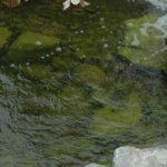 image of material