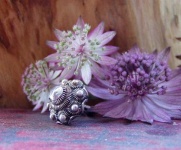 image of flower