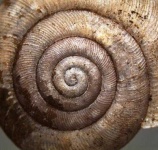 image of texture