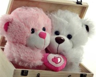 image of teddy_bear
