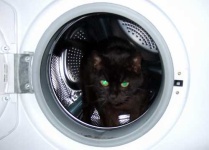 image of washer