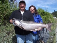image of coho