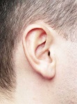 image of ear