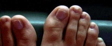 image of human_body_parts