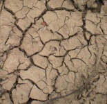 image of texture