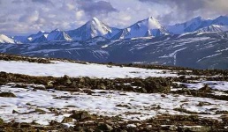image of tundra