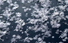 image of snowflake