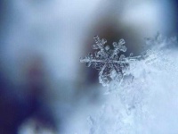 image of snowflake