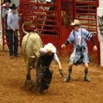 image of bull_riding #7