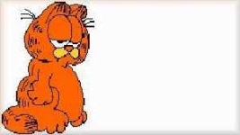 image of garfield