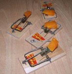 image of mousetrap