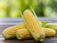 image of sweetcorn #17