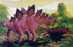 image of stegosaurus