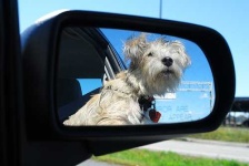 image of car_mirror