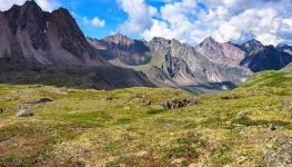image of tundra