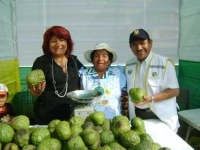 image of custard_apple