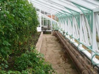 image of greenhouse