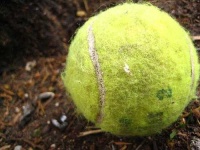 image of tennis_ball #2