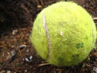 image of tennis_ball
