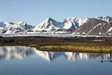 image of tundra