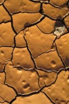 image of texture