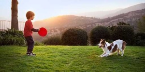 image of people_play_with_dog