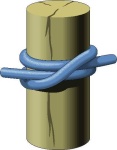 image of knot
