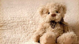 image of teddy_bear