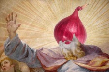 image of onion #30