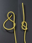 image of knot