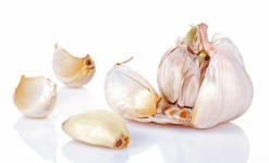 image of fruit_and_vegetable