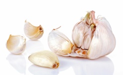 image of garlic #32