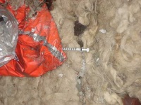 image of syringe