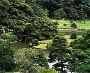 image of garden