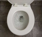 image of toilet