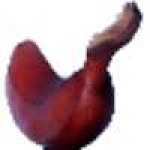 image of fruit