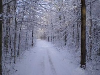 image of snowy