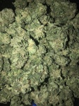 image of blueberry #1