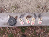 image of mousetrap