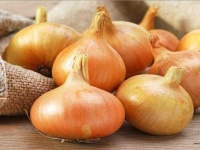 image of onion #5