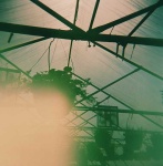 image of greenhouse