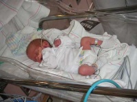 image of bassinet