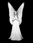 image of angel