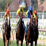 image of sport