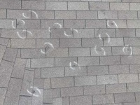 image of hail