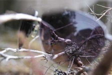 image of sunglass