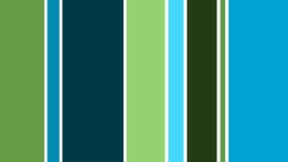 image of texture