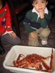 image of king_crab